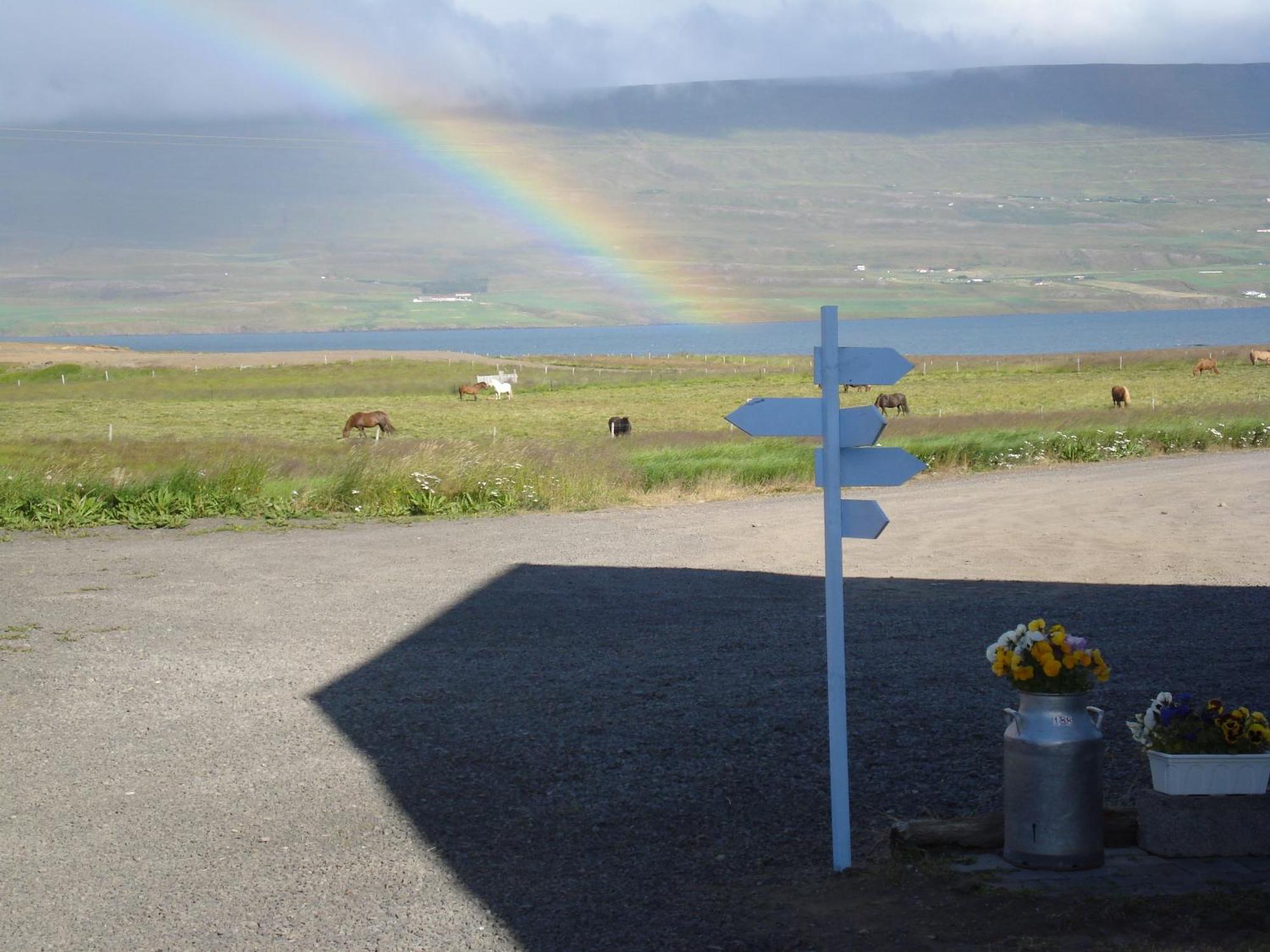 Guesthouse Petursborg Akureyri Bagian luar foto