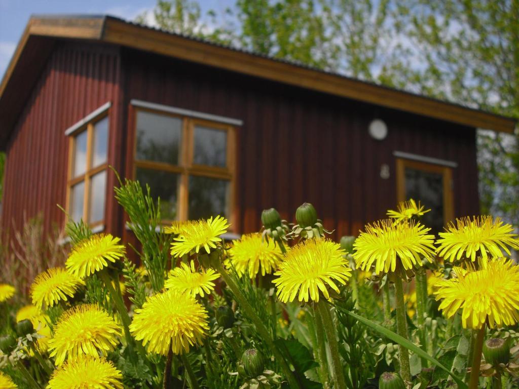 Guesthouse Petursborg Akureyri Ruang foto