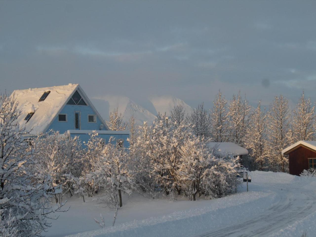 Guesthouse Petursborg Akureyri Bagian luar foto