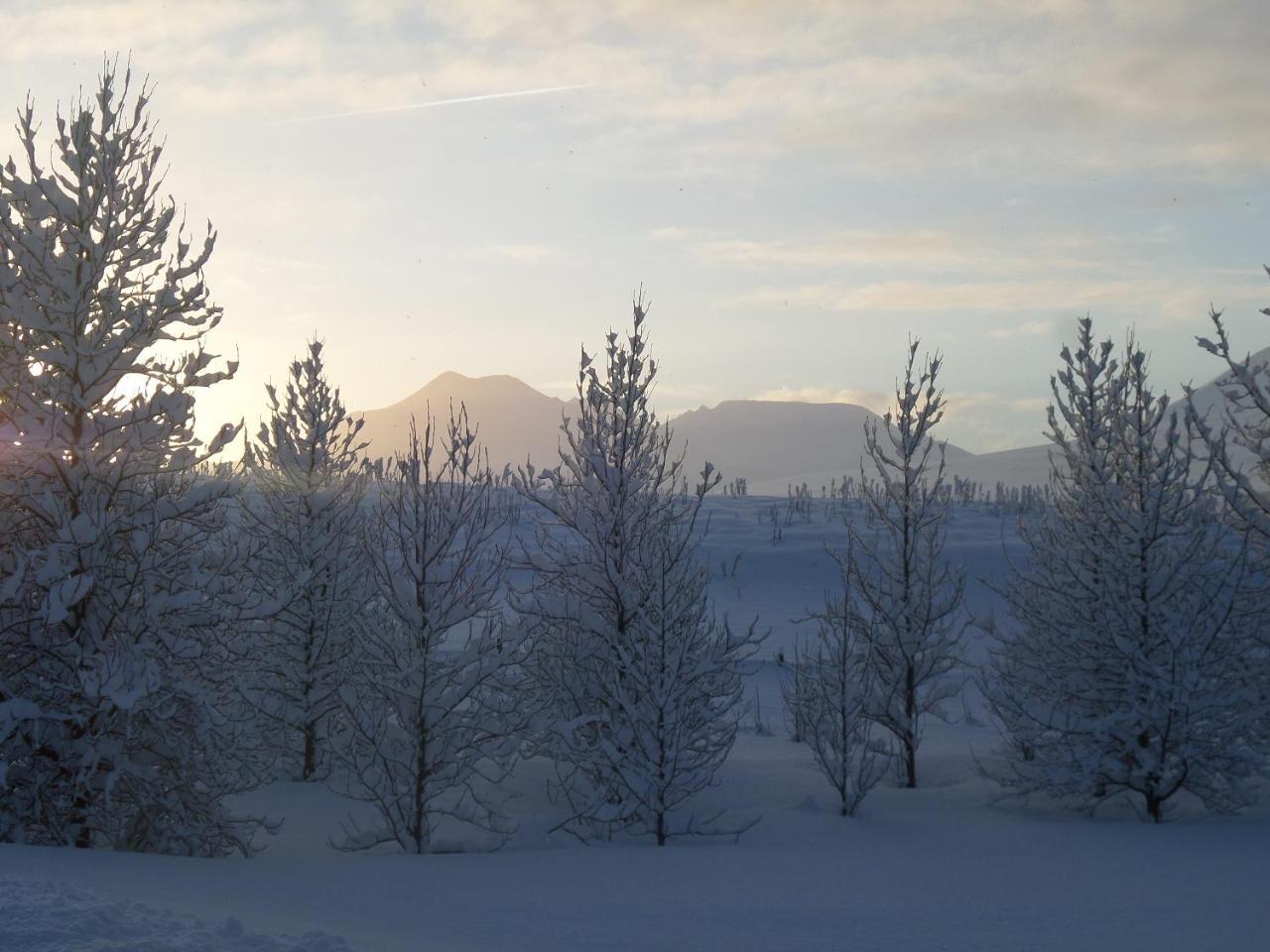 Guesthouse Petursborg Akureyri Bagian luar foto